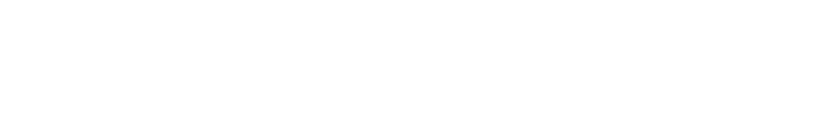 Aegis Security Support